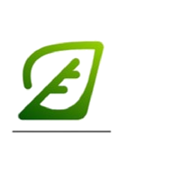 Green Tech 2 SRLS